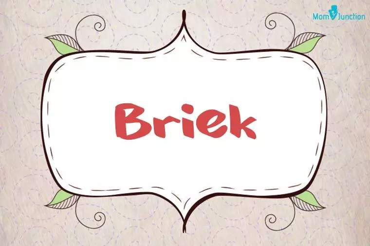 Briek Stylish Wallpaper