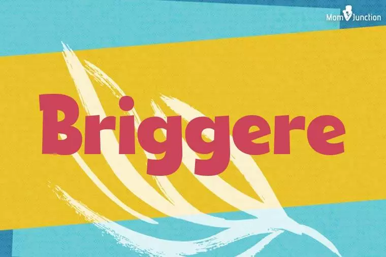 Briggere Stylish Wallpaper