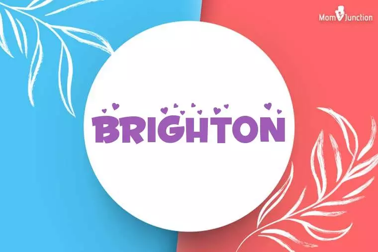 Brighton Stylish Wallpaper