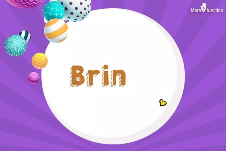 Brin 3D Wallpaper