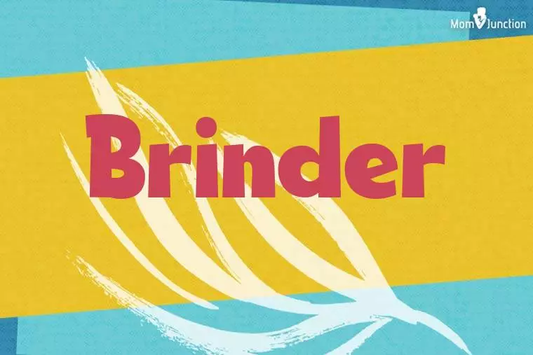 Brinder Stylish Wallpaper