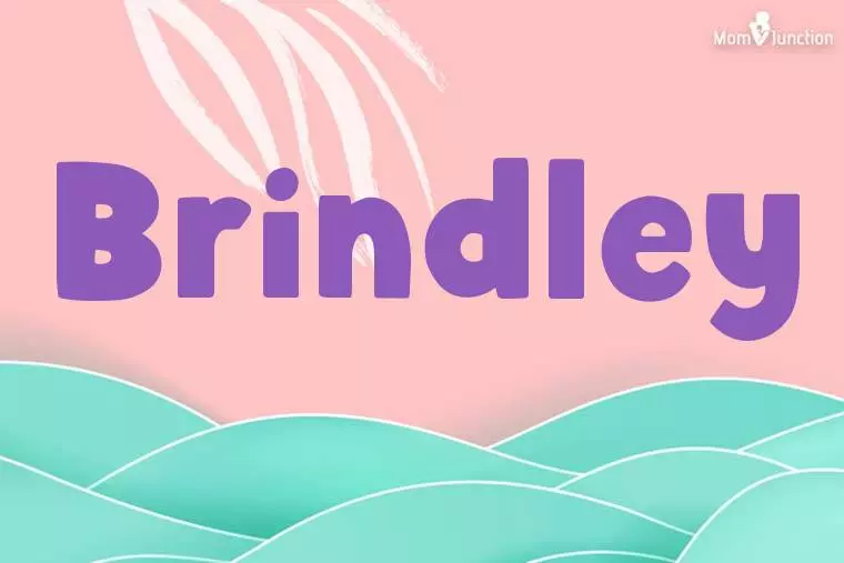 Brindley Stylish Wallpaper