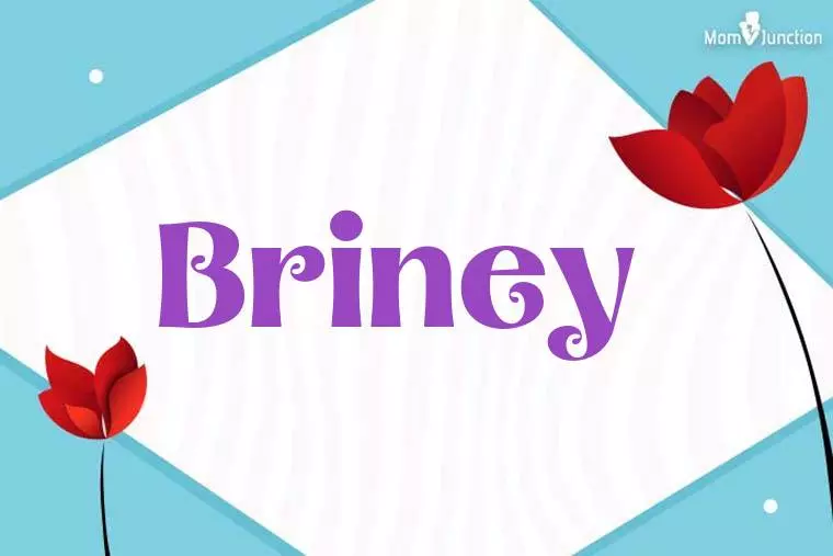 Briney 3D Wallpaper