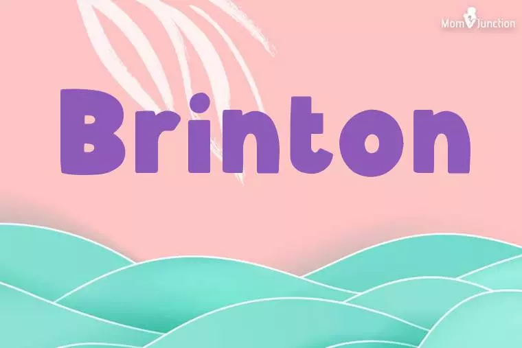 Brinton Stylish Wallpaper