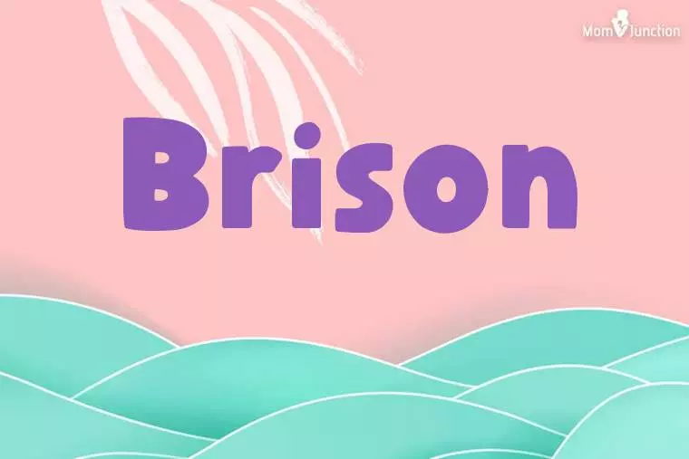 Brison Stylish Wallpaper