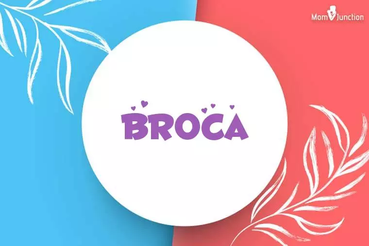 Broca Stylish Wallpaper