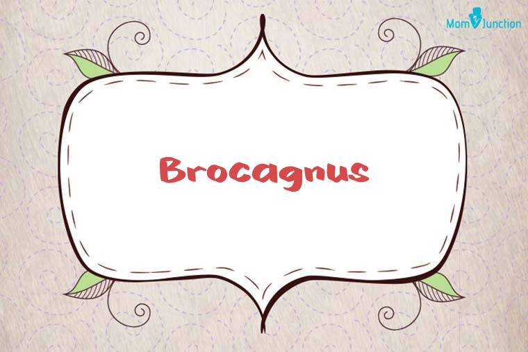 Brocagnus Stylish Wallpaper