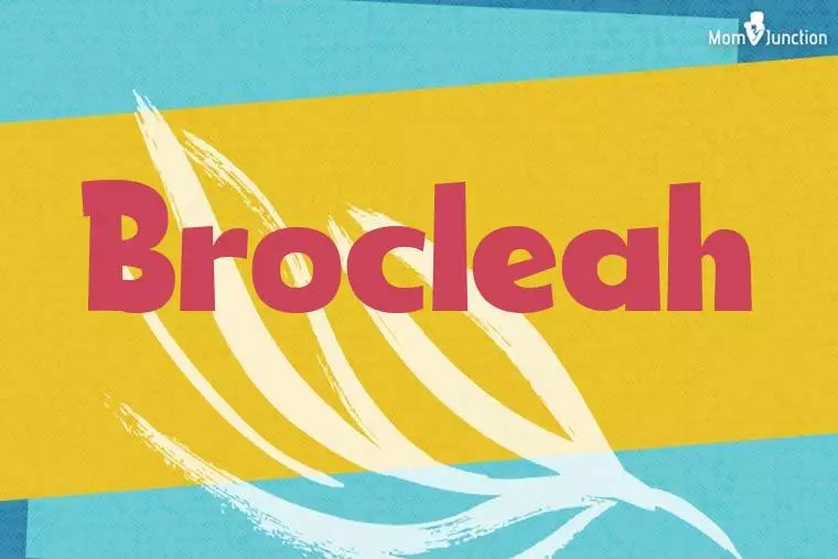 Brocleah Stylish Wallpaper