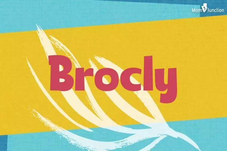 Brocly Stylish Wallpaper