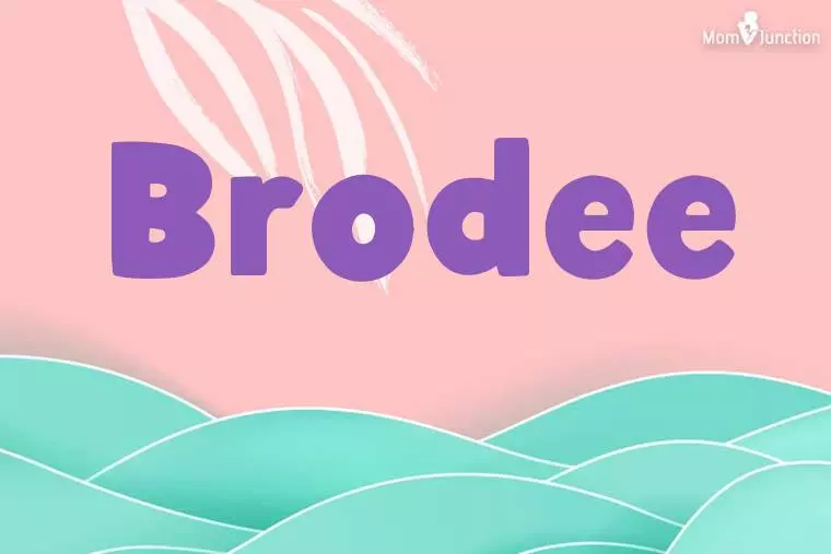 Brodee Stylish Wallpaper