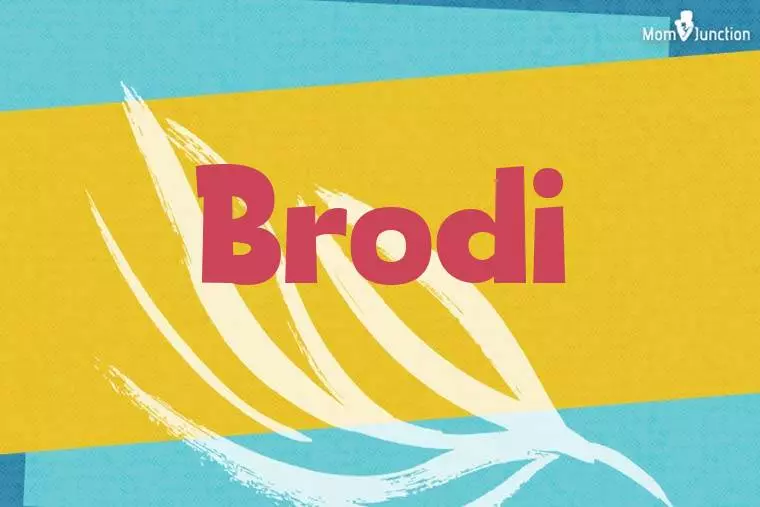 Brodi Stylish Wallpaper