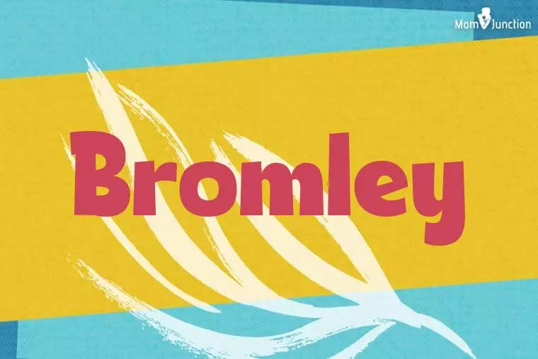 Bromley Stylish Wallpaper