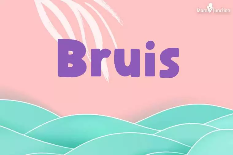 Bruis Stylish Wallpaper