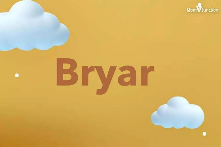 Bryar 3D Wallpaper