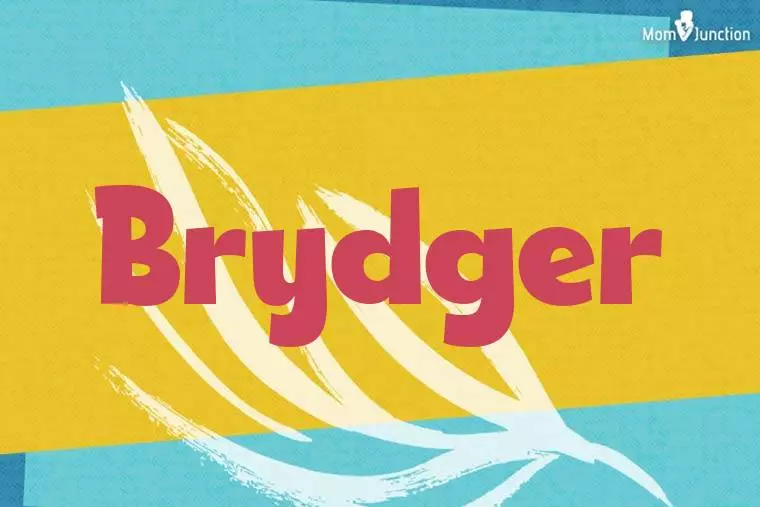 Brydger Stylish Wallpaper