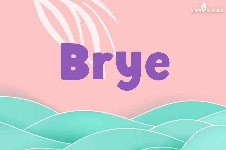 Brye Stylish Wallpaper