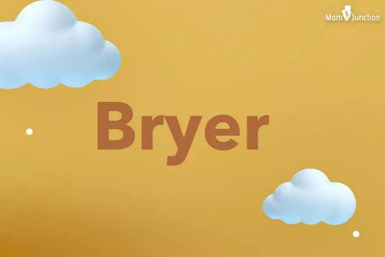 Bryer 3D Wallpaper