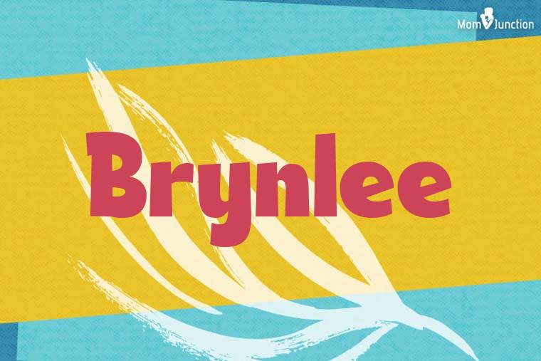 Brynlee Stylish Wallpaper