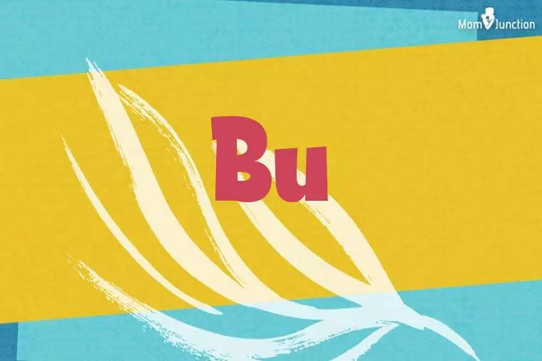 Bu Stylish Wallpaper