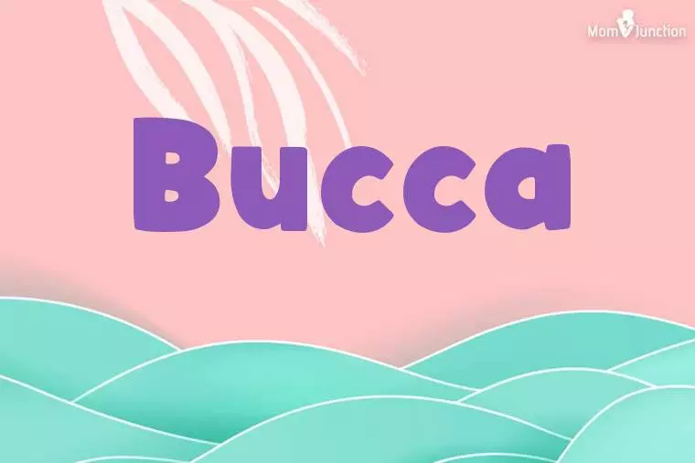 Bucca Stylish Wallpaper