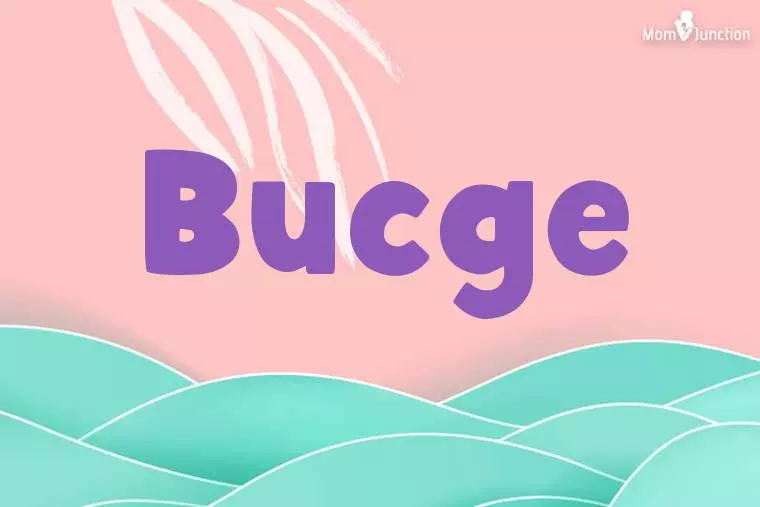 Bucge Stylish Wallpaper