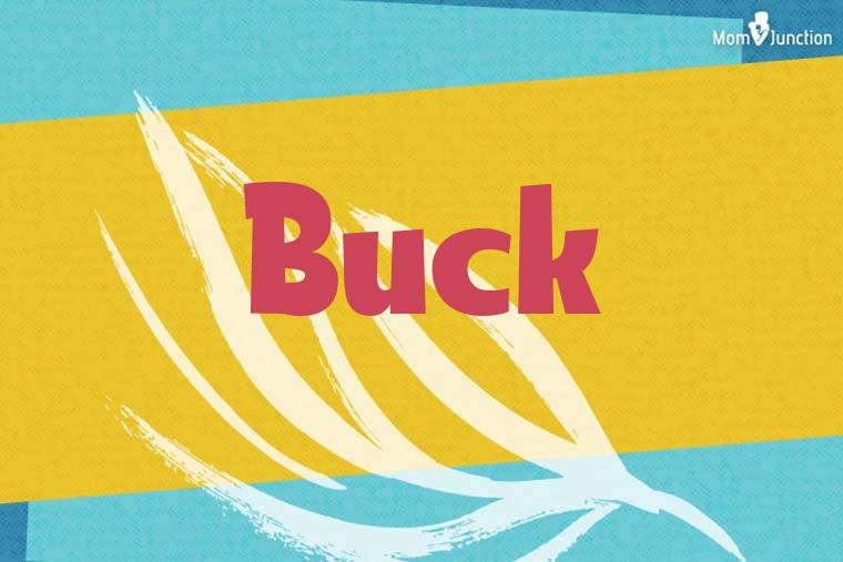 Buck Stylish Wallpaper