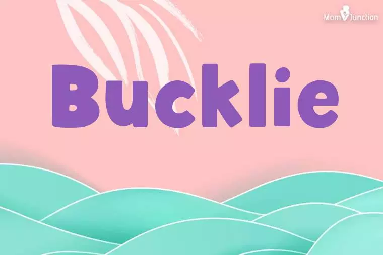 Bucklie Stylish Wallpaper