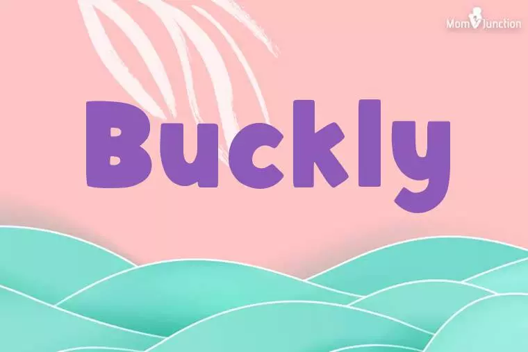 Buckly Stylish Wallpaper