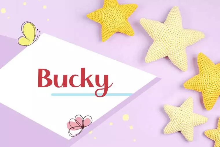 Bucky Stylish Wallpaper