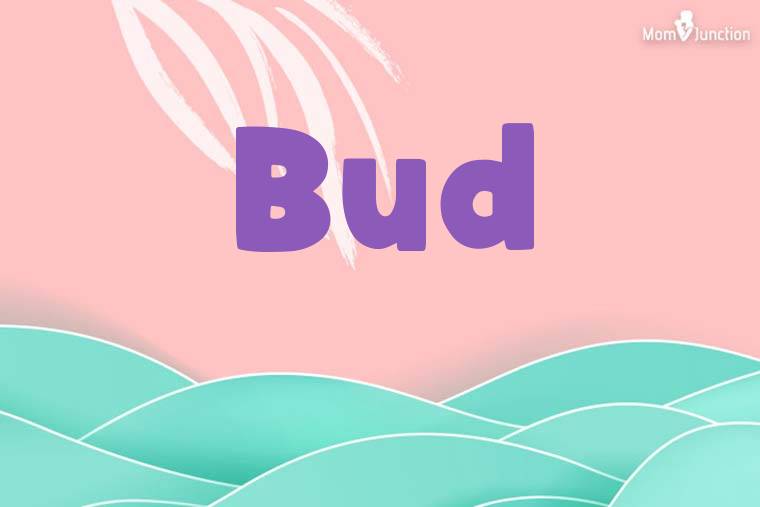 Bud Stylish Wallpaper