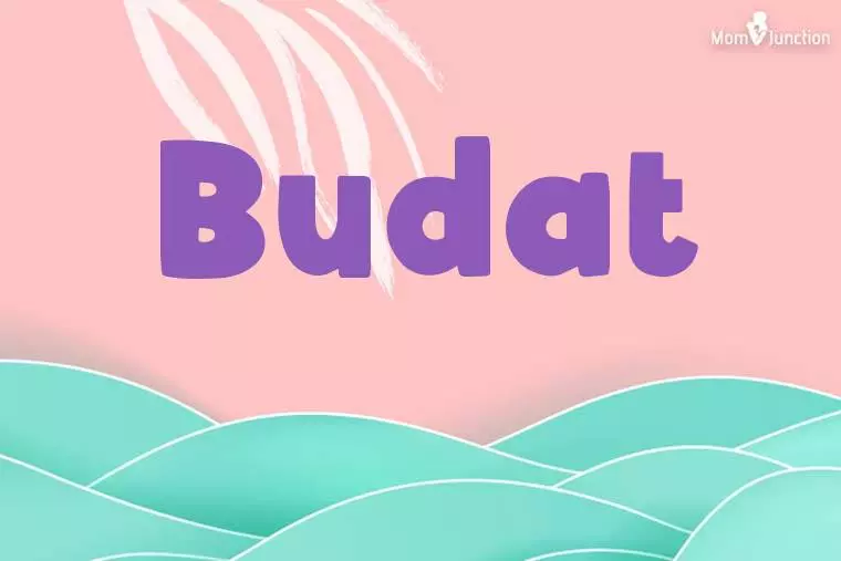 Budat Stylish Wallpaper