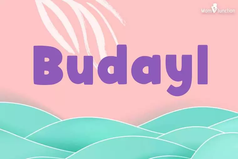 Budayl Stylish Wallpaper