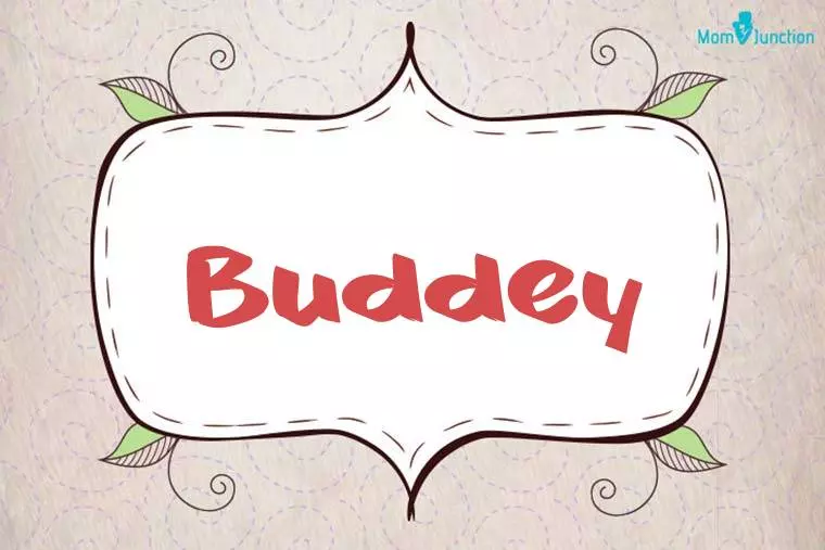 Buddey Stylish Wallpaper