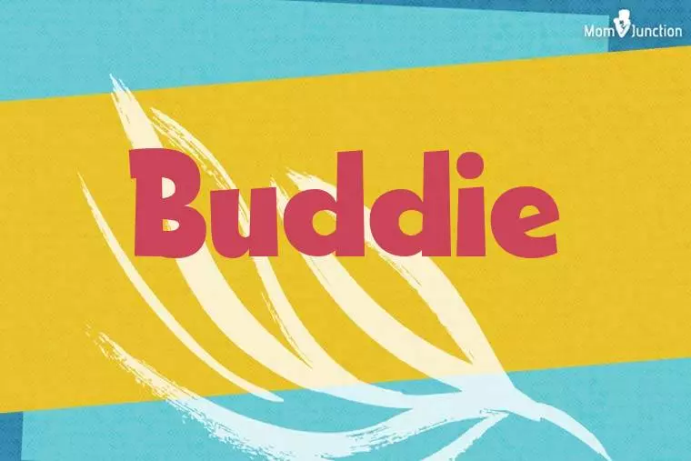 Buddie Stylish Wallpaper