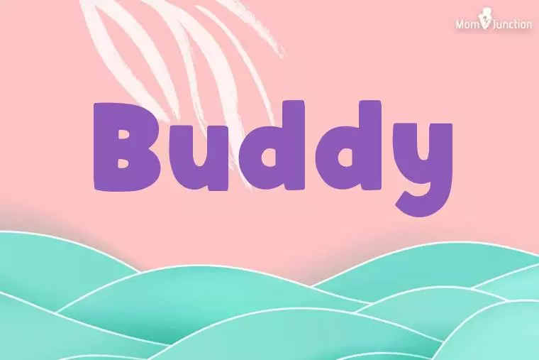 Buddy Stylish Wallpaper