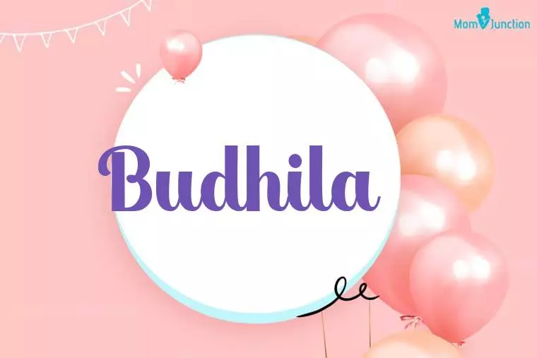 Budhila Birthday Wallpaper