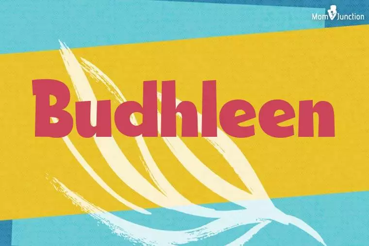 Budhleen Stylish Wallpaper