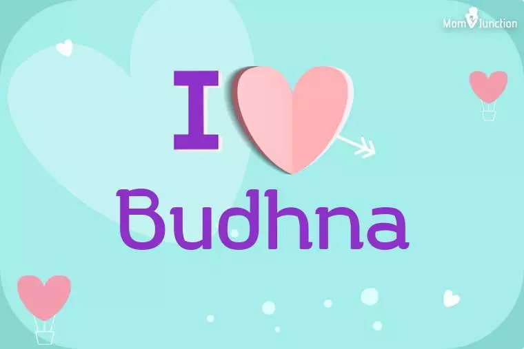 I Love Budhna Wallpaper