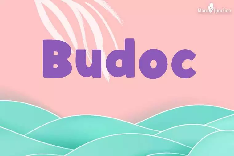 Budoc Stylish Wallpaper