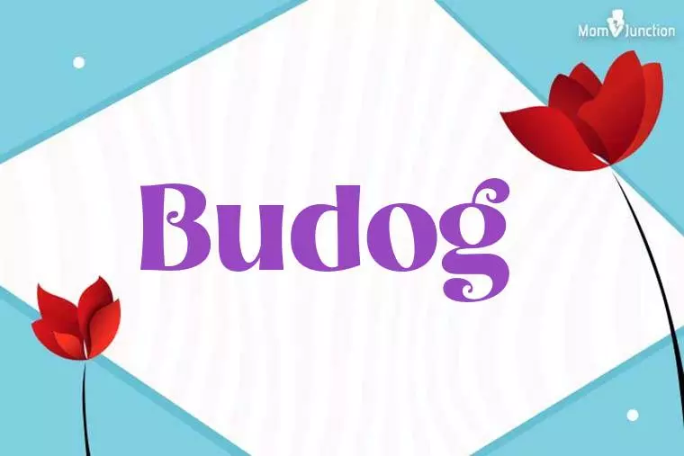 Budog 3D Wallpaper