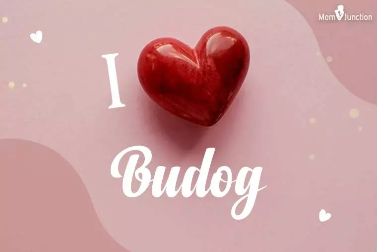 I Love Budog Wallpaper