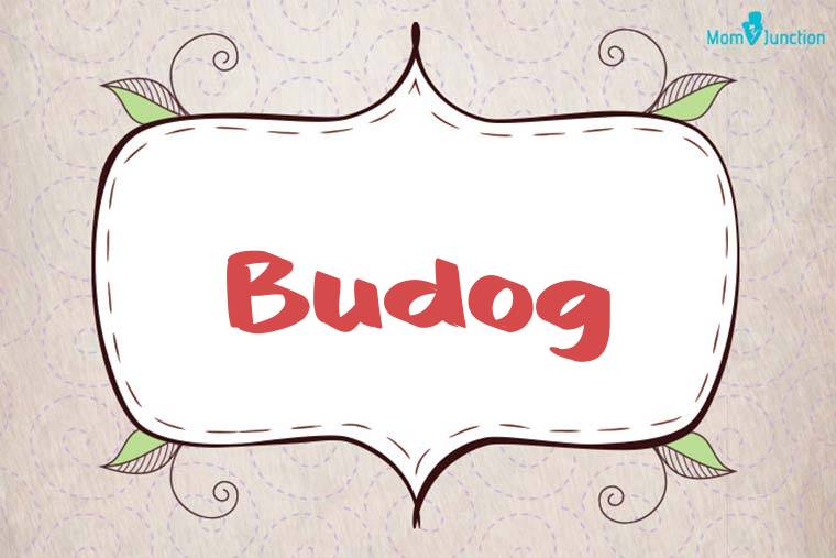 Budog Stylish Wallpaper