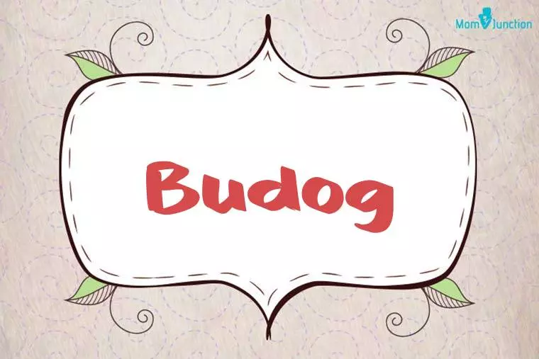 Budog Stylish Wallpaper