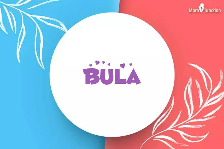 Bula Stylish Wallpaper