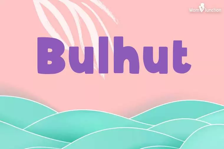 Bulhut Stylish Wallpaper