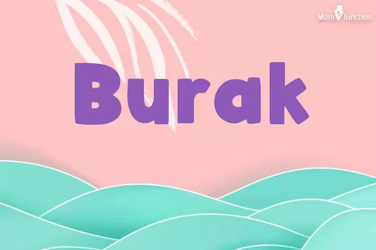 Burak Stylish Wallpaper