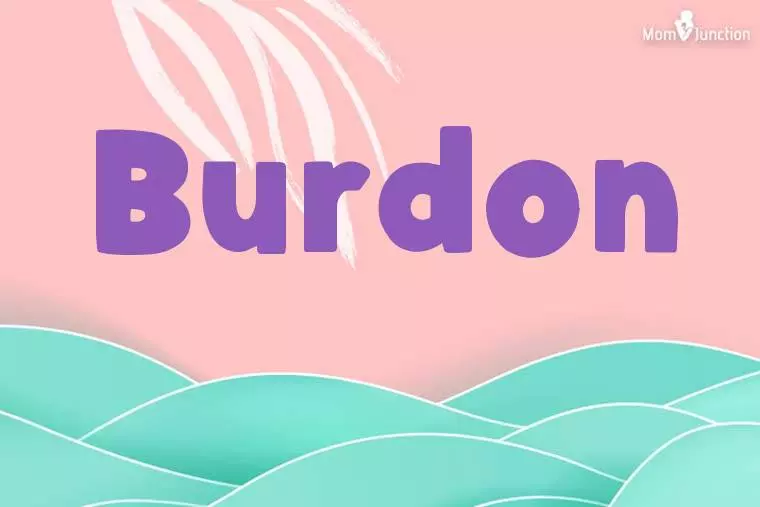 Burdon Stylish Wallpaper