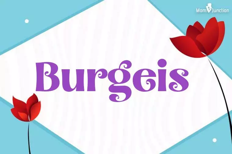 Burgeis 3D Wallpaper