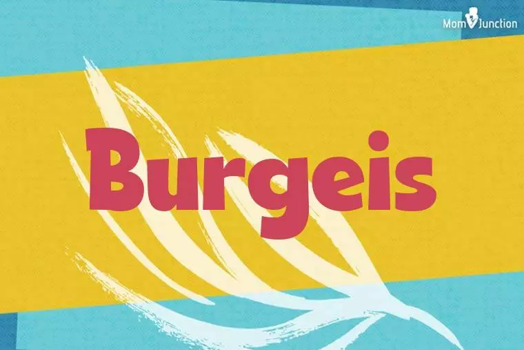 Burgeis Stylish Wallpaper