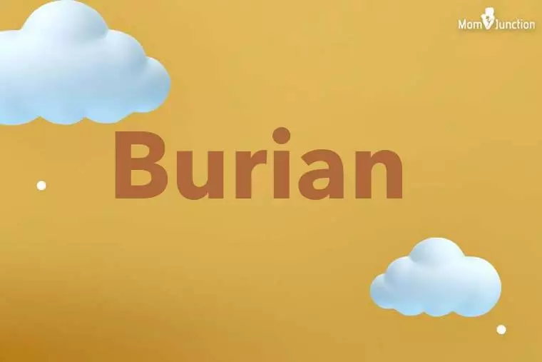 Burian 3D Wallpaper